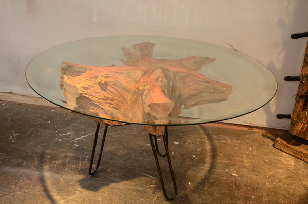 Pine Root Glass Top Dining Table 4 to 6 seater Reclaimed Exeter Woodland