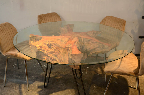 Pine Root Glass Top Dining Table 4 to 6 seater Reclaimed Exeter Woodland